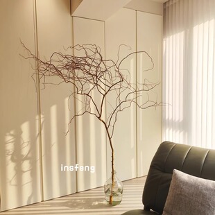 荷兰金龙柳2m大支水培生根好养植物室内枝条鲜切水养超长型真花