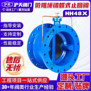 止回阀微阻缓闭蝶式止回阀缓闭式止回阀HH48XHH49XHH46X
