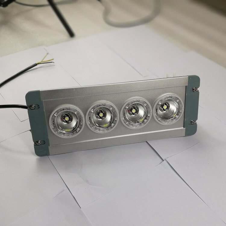 ZL8846-E 配电房应急低顶灯LED固态免维护事故应急照明灯GMD9124A - 实物图