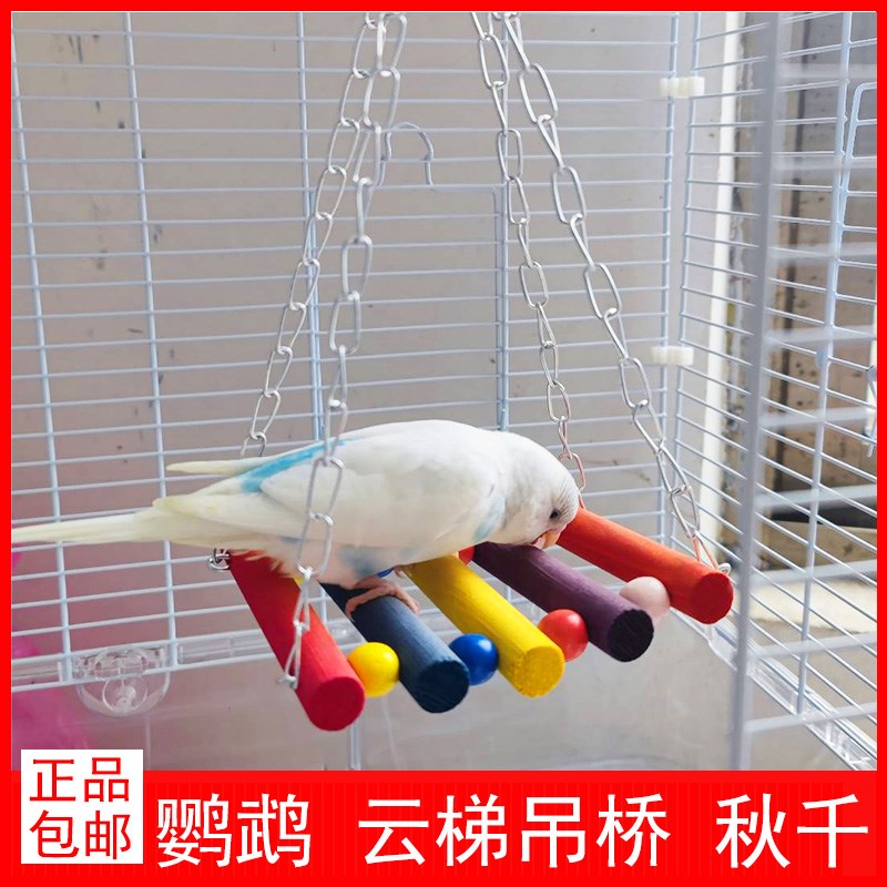 鹦鹉秋千吊桥环爬栖息云梯牡丹玄凤玩具鸟床虎皮啃咬玩具笼子用品