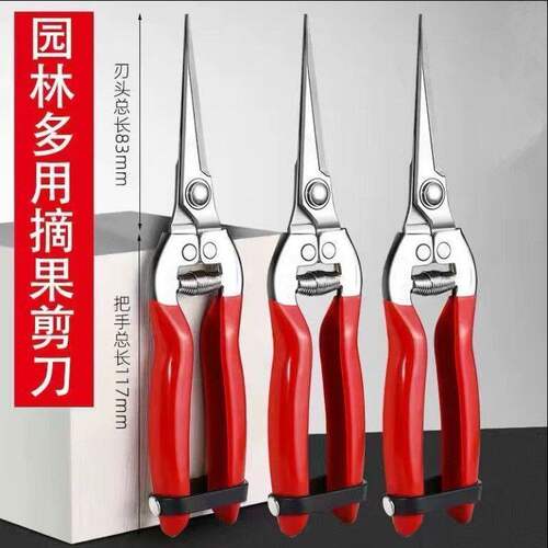 日式加厚不锈钢园艺摘果剪
