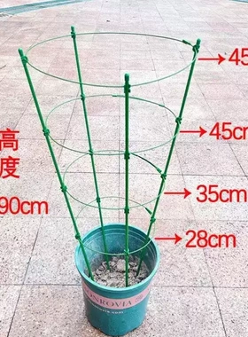 昙花专用支架爬藤花架月季蟹爪兰黄金葛可伸缩阳台绿植攀爬花卉支