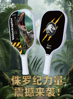Luzz路兹侏罗纪世界官方联名匹克球板拍碳纤维T700喷砂专业比赛
