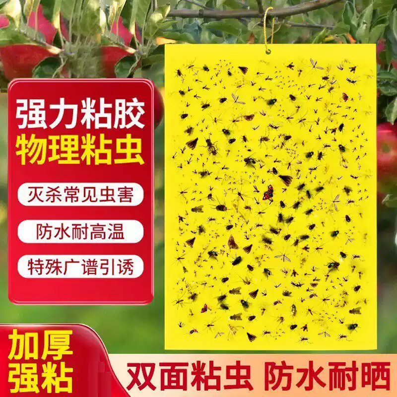 双面黄板粘虫板实蝇针蜂
