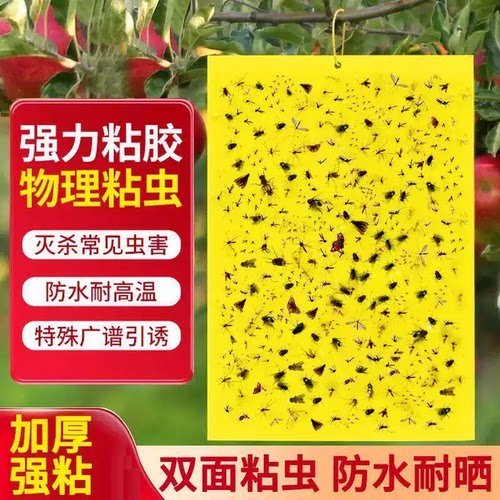 双面黄板粘虫板实蝇针蜂
