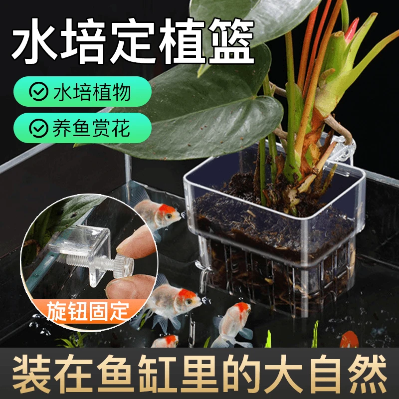 镂空花盆水培鱼缸水培定植篮水草种植杯壁挂式加厚家用透明水培篮