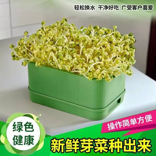 家用发豆芽工具神器食品级发芽盆生绿豆芽方法芽花生芽专用盆种植