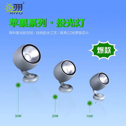 LED射灯户外圆形苹果聚光投光灯防水防爆桥梁工程庭院照树超亮