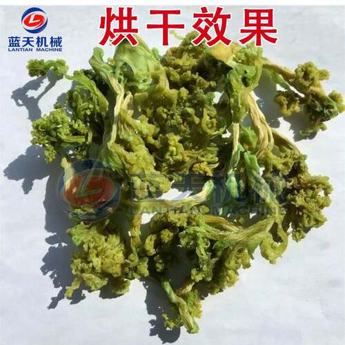 西兰花LT-XLHHG干机 烘动全自菜绿花木立花椰菜干燥机 青花菜脱水