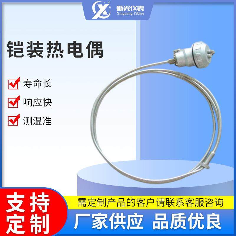 厂家定制铠装热电偶K型热电偶探针式铠装热电偶双支铠装热电偶