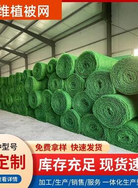 护坡植草园林绿化三维植被网草坪绿色公路护坡植草工地防尘覆盖用