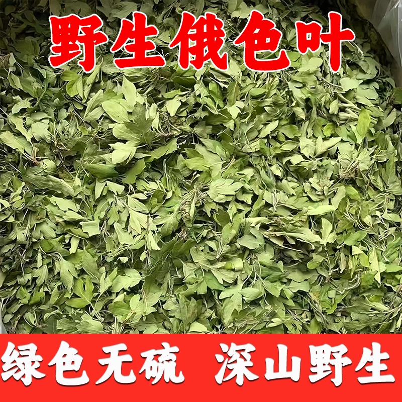 正品俄色叶高海拔藏茶自然晾晒新货无硫高原野生养生泡水煮水茶