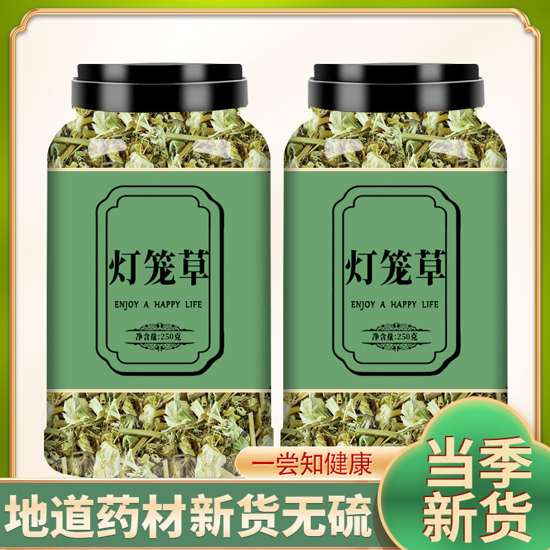 野生新鲜灯笼草中药材晒干正品灯笼草干货红姑娘锦灯笼官方旗舰店