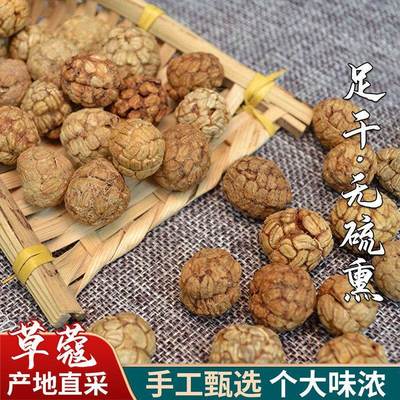 【草蔻】草豆蔻老寇草扣大草寇炖肉煮卤可粉香料大全