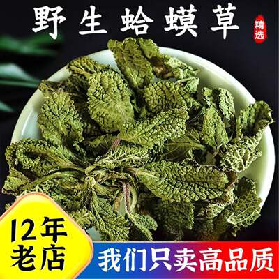 野生癞蛤蟆草中药材新鲜晒干500g克干货正品特级泡茶荔枝草的功效