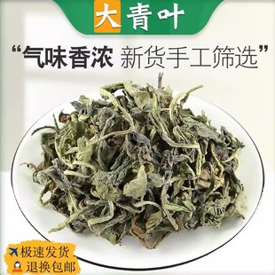 大青叶中药材500g 大青叶茶 可磨大青叶粉精选新鲜正品板蓝根叶子