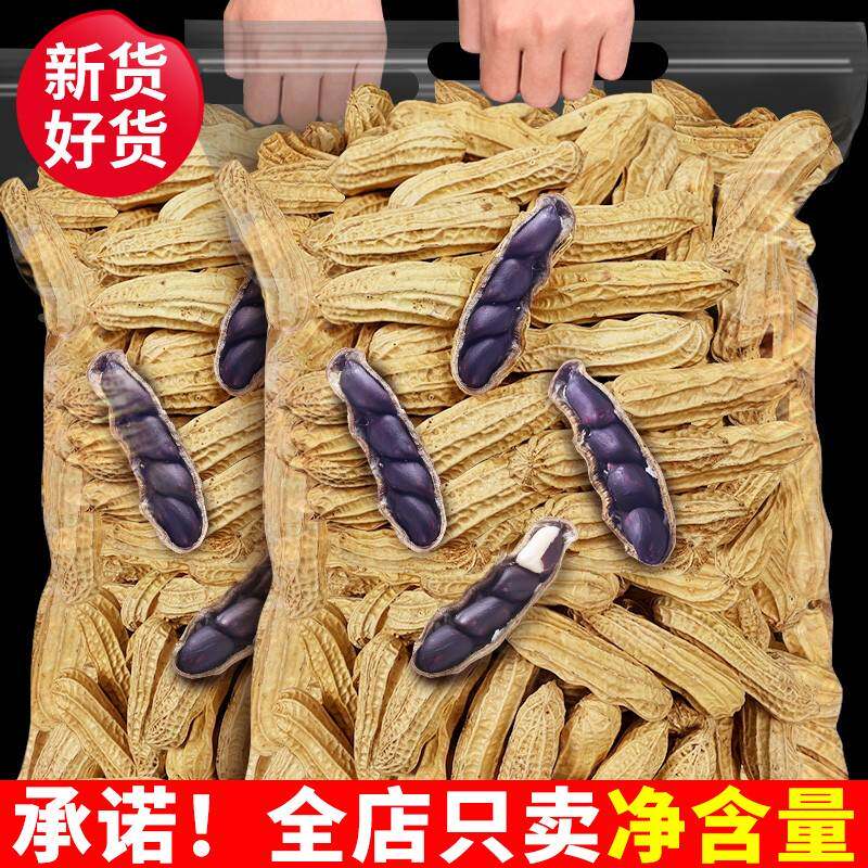 农科院云南黑花生新货带壳的炒熟黑花生普洱特产去壳花生商用