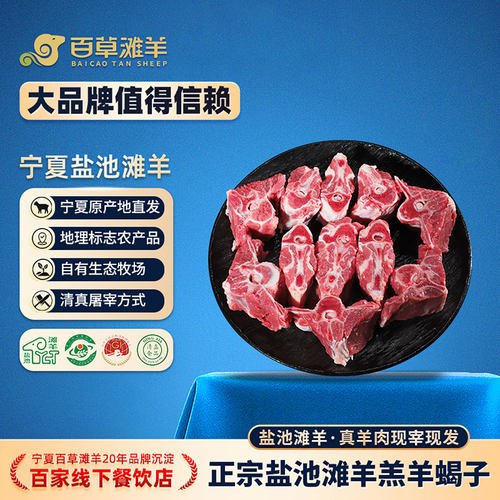 百草滩羊羊蝎子新鲜带肉宁夏盐池滩羊肉生鲜羊肉新鲜羊脊骨火锅