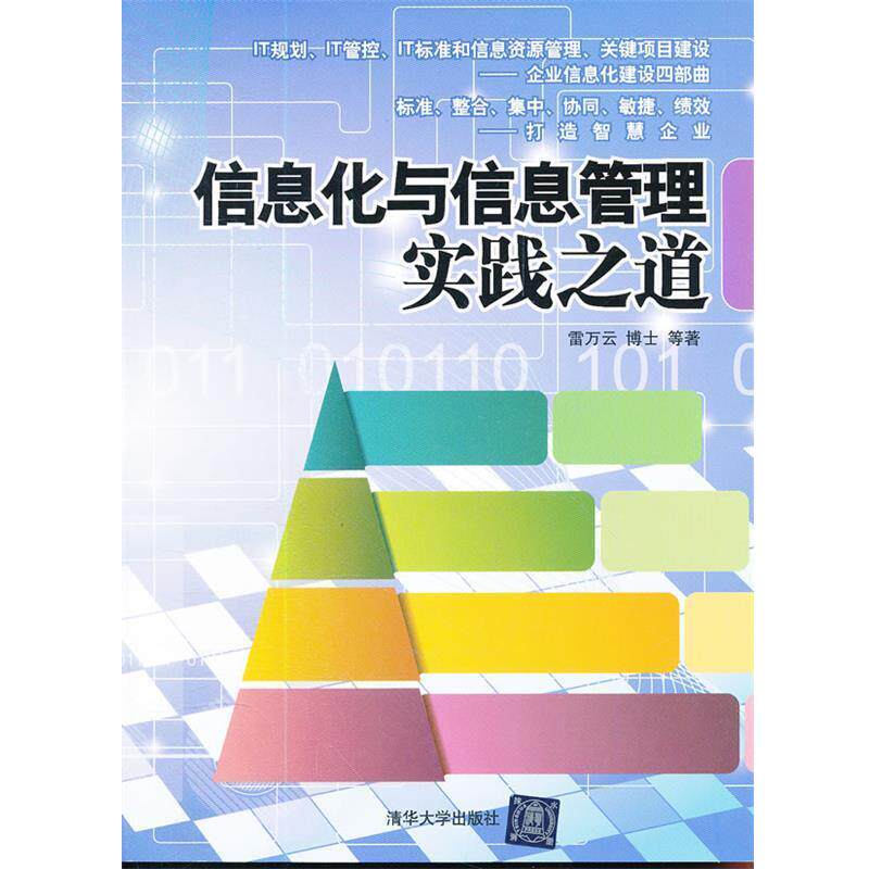 【正版书】 信息化与信息管理实践之道 雷万云 等著 清华大学出版社