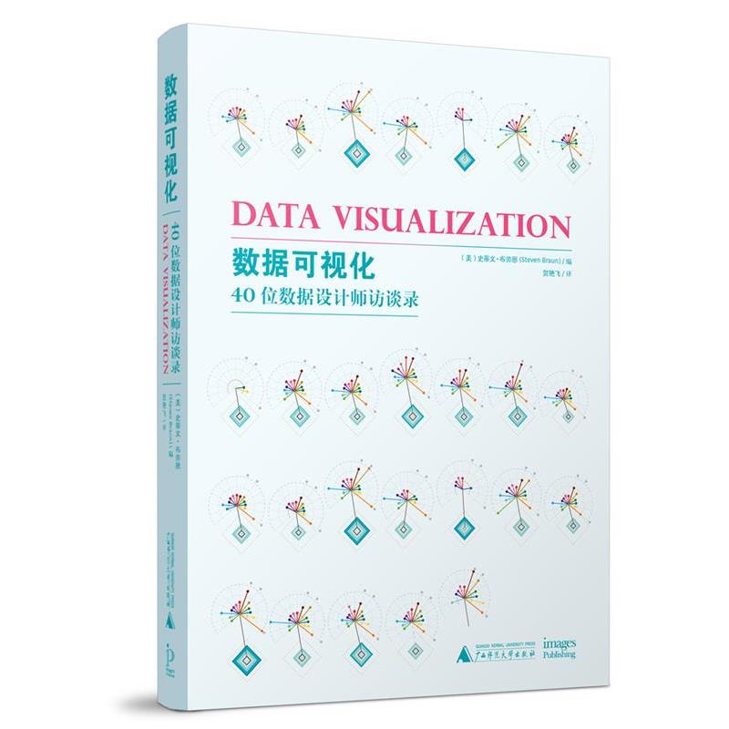 【正版书】 数据可视化 40位数据设计师访谈录 [美国]史蒂文 布劳恩 广西师范大学出版社