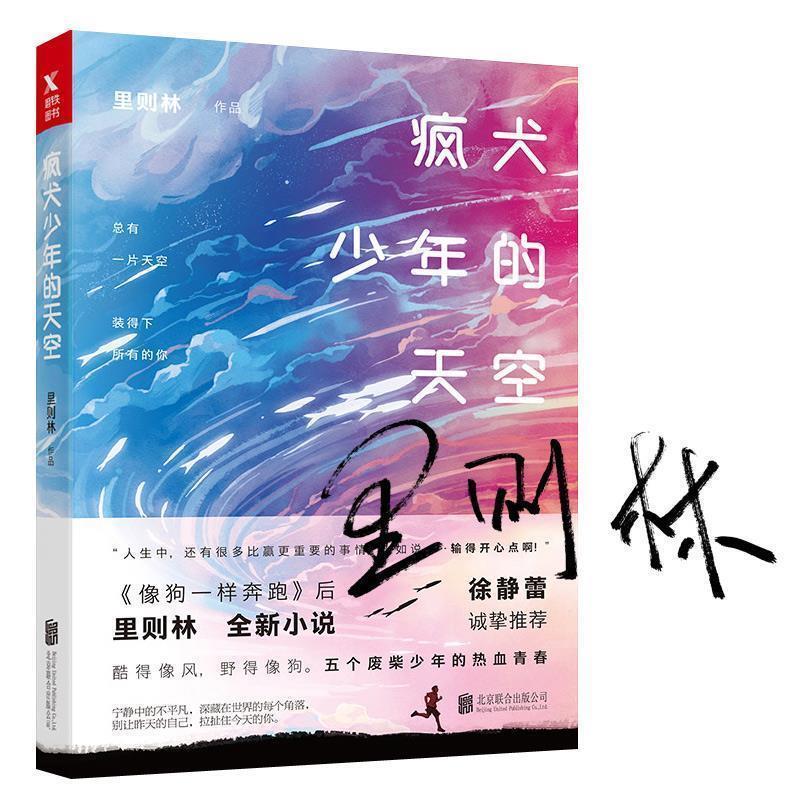 【正版书】 疯犬少年的天空 里则林 著,磨型小说 出品 北京联合出版有限公司