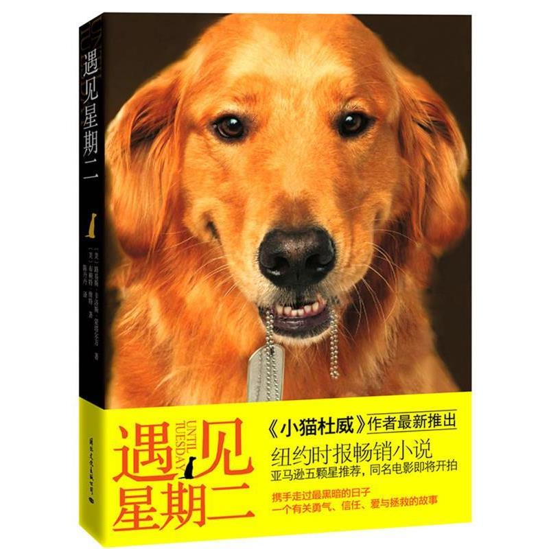 【正版书】 遇见星期二 [美]路易斯 •卡洛斯•蒙塔尔万,[美]布赖特•维特　著　, 陈丹丹 译 国际文化出版公司