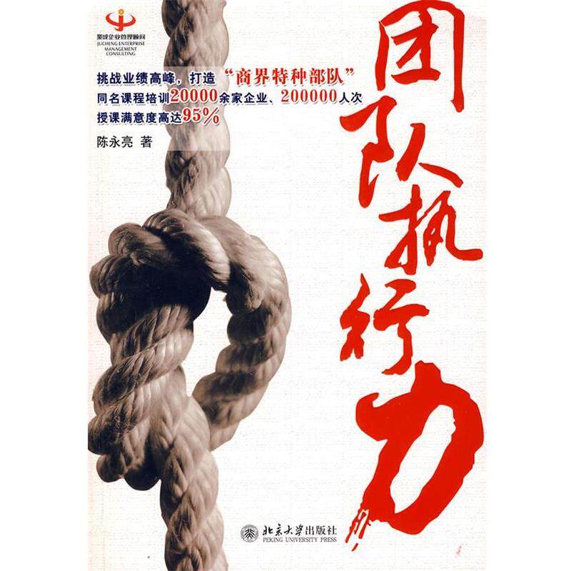 【正版书】 团队执行力 陈永亮 著 北京大学出版社