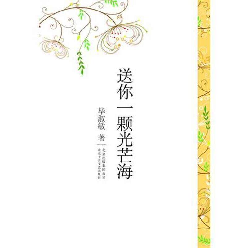 【正版书】 送你一颗光芒海 毕淑敏 著 北京十月文艺出版社