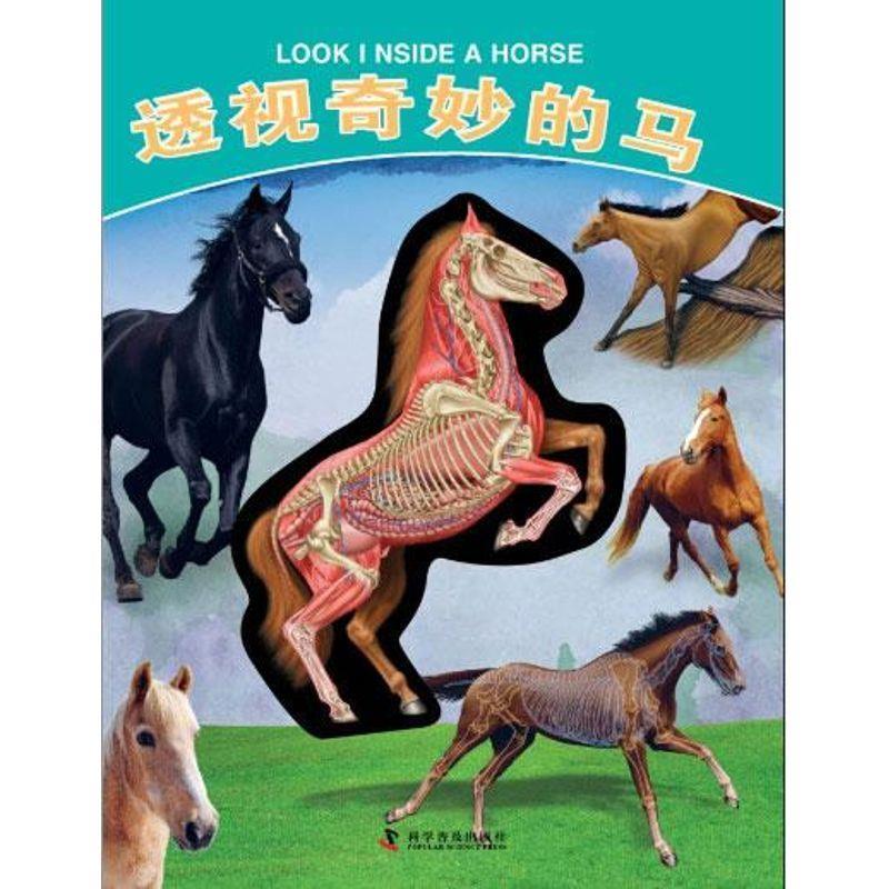 【正版书】 有趣的透视立体书--有趣的透视立体书—透视奇妙的马 [英]大卫·乔治·戈登 科学普及出版社