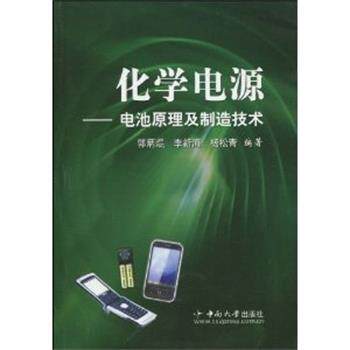 【正版书】 化学电源:电池原理及制造技术 郭炳焜 (作者), 李新海 (作者), 杨松青 (作者) 中南大学出版社有限责任公司