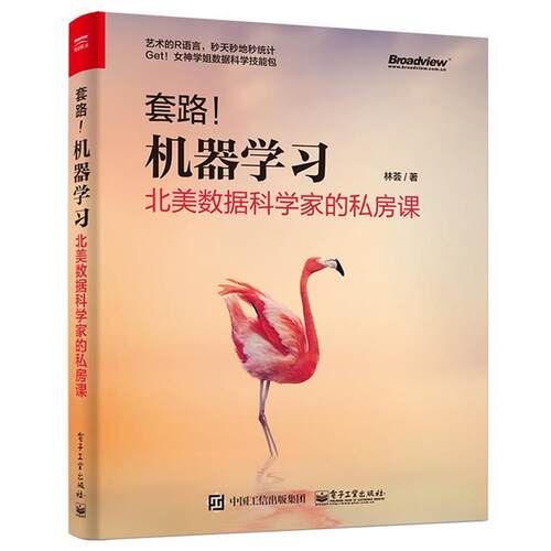 【正版书】 套路！机器学习:北美数据科学家的私房课 林荟 电子工业出版社
