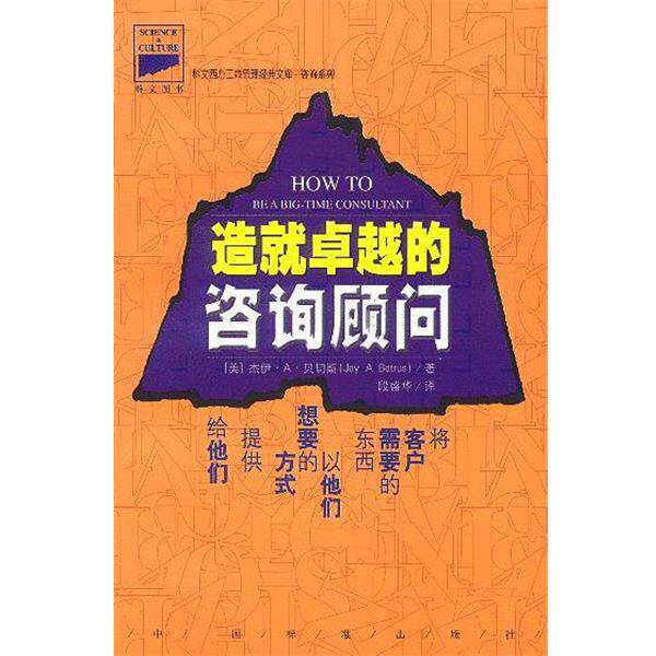 【正版书】 造就的咨询顾问 (美)贝切斯 著,段盛华 译 中国标准出版社