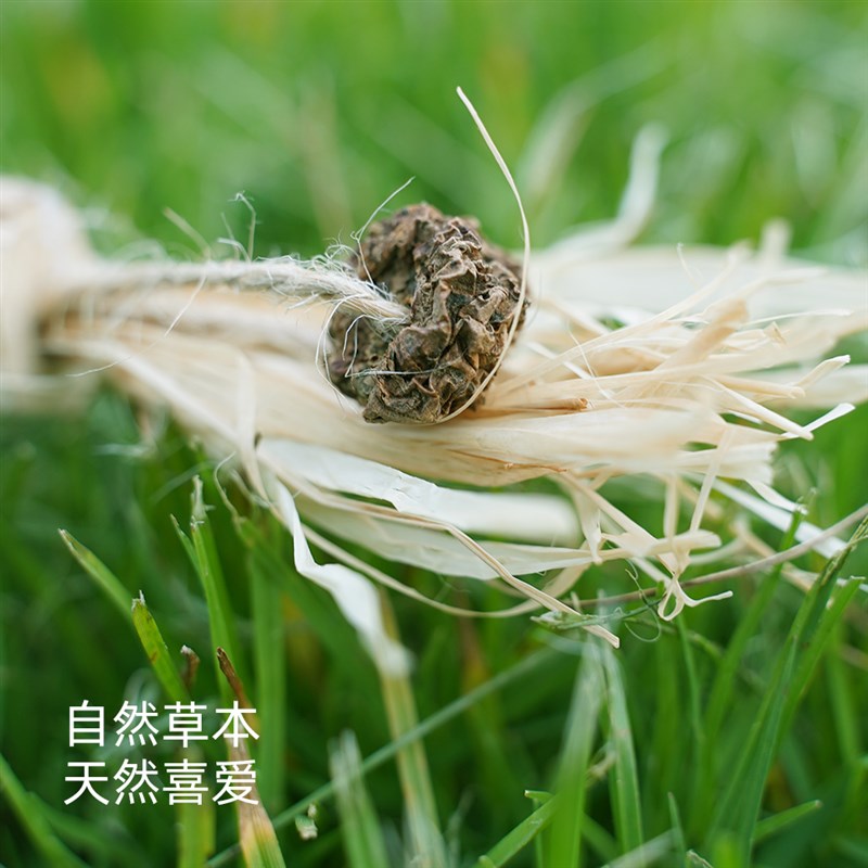 零赫兹草本洁齿棒 1个 木天蓼磨牙棒猫薄荷自嗨解闷耐咬猫玩具