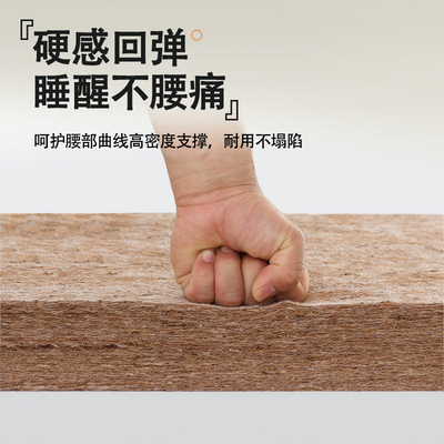 床垫家用卧室硬质椰棕护脊椎家用儿童1米2环保粽榈单人折叠可定制