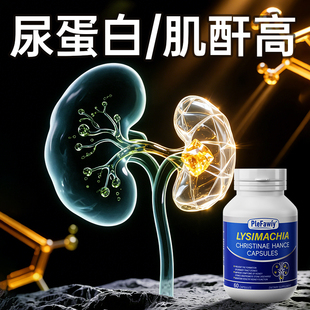 进口肌酐高尿蛋白吃什么iga降护肾脏肾小球调理泡沫多肾功能胶囊