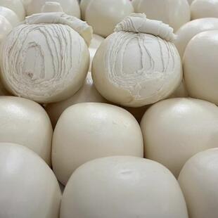 供应沧州市蒸馒头蒸房双门72盘不锈钢蒸箱商用全发泡蒸饭柜