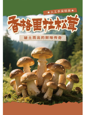 松茸广告海报贴纸云南野生菌美食特产店装饰画火锅烧烤餐厅墙贴画