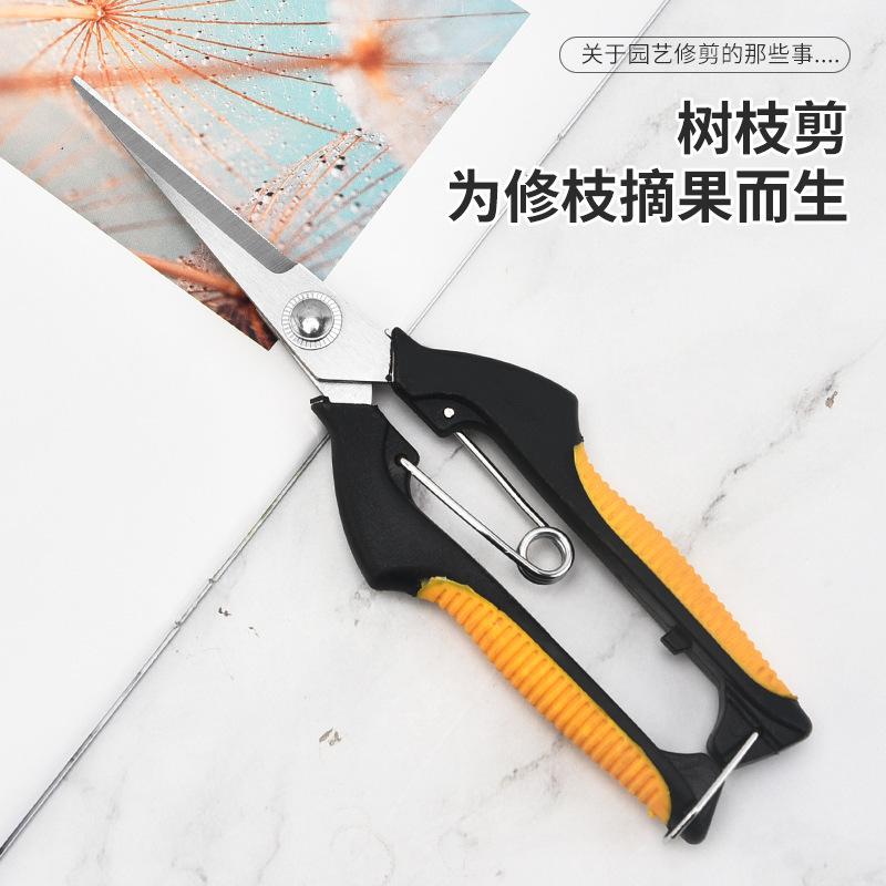 不锈钢尖头果园摘果剪葡萄蔬果