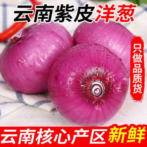 云南紫皮水果洋葱农家自种