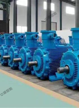 矿用永磁同步变频电动机 TBVF-40/40YC(1140)永磁同步变频电动机