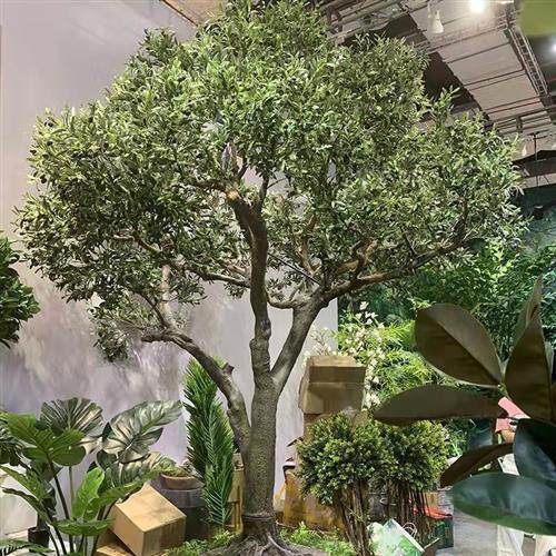 现货人造室内户外假大树 仿真橄榄树 景区绿化假树 大型玻璃钢树