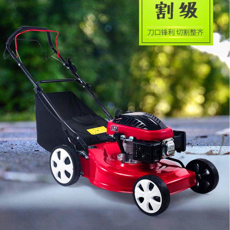 庭院园林花园绿化除草机 手推式小型家用除草机 20寸汽油机割草机