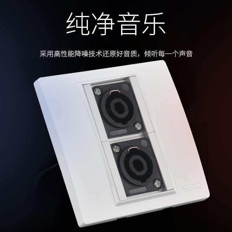 86型二位大功率舞台音响插座四芯音箱欧姆卡农插头网络布面板