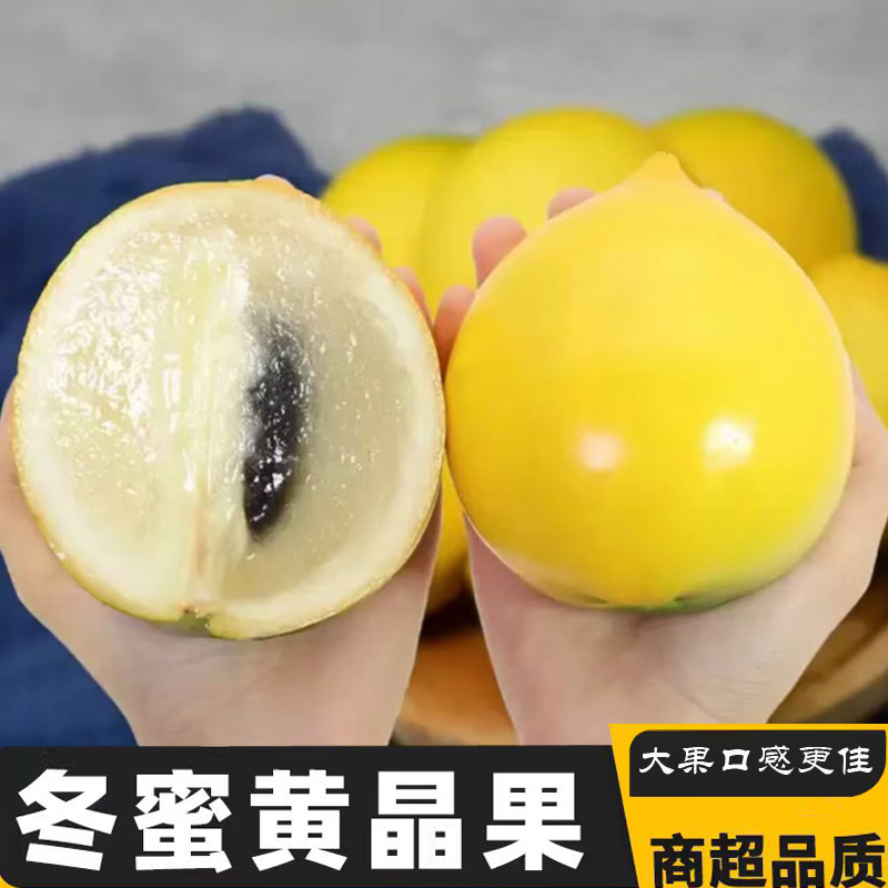 黄晶果新鲜正宗冬蜜鲜果四季黄宝石大果稀有特产高端牛奶果黄晶果