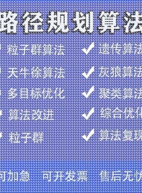 matlab路径规划遗传蚁群粒子群算法代做Python强化学习多目标优化