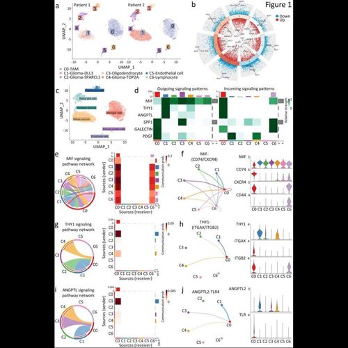 测序数据生信分析单细胞空间转录组蛋白组WGS甲基化16S宏基因WES