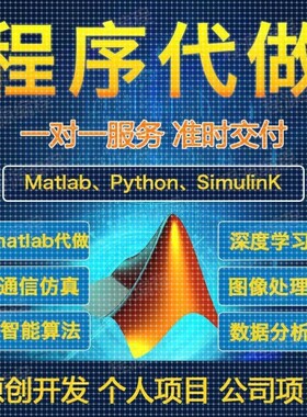 matlab代码帮做python程序代做优化算法通信语音图像处理仿真编程