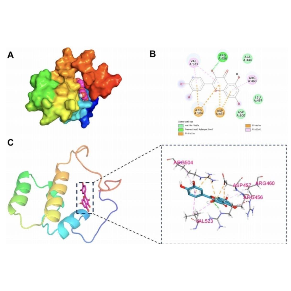 单细胞数据分析GEO TCGA RNA-seq测序数据挖掘结果可视化生信分析