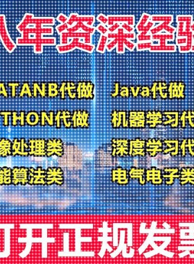 matlab代码帮做代编程序代做python覆现算法彷真编写图像信号处理