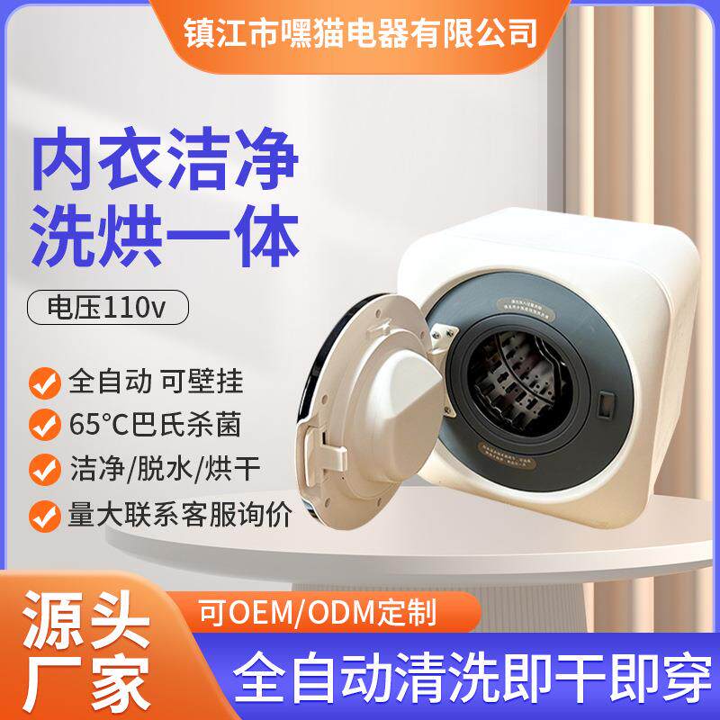 外贸洗衣机家用壁挂式滚筒洗衣机宝宝迷你小型内衣内裤烘衣机110V